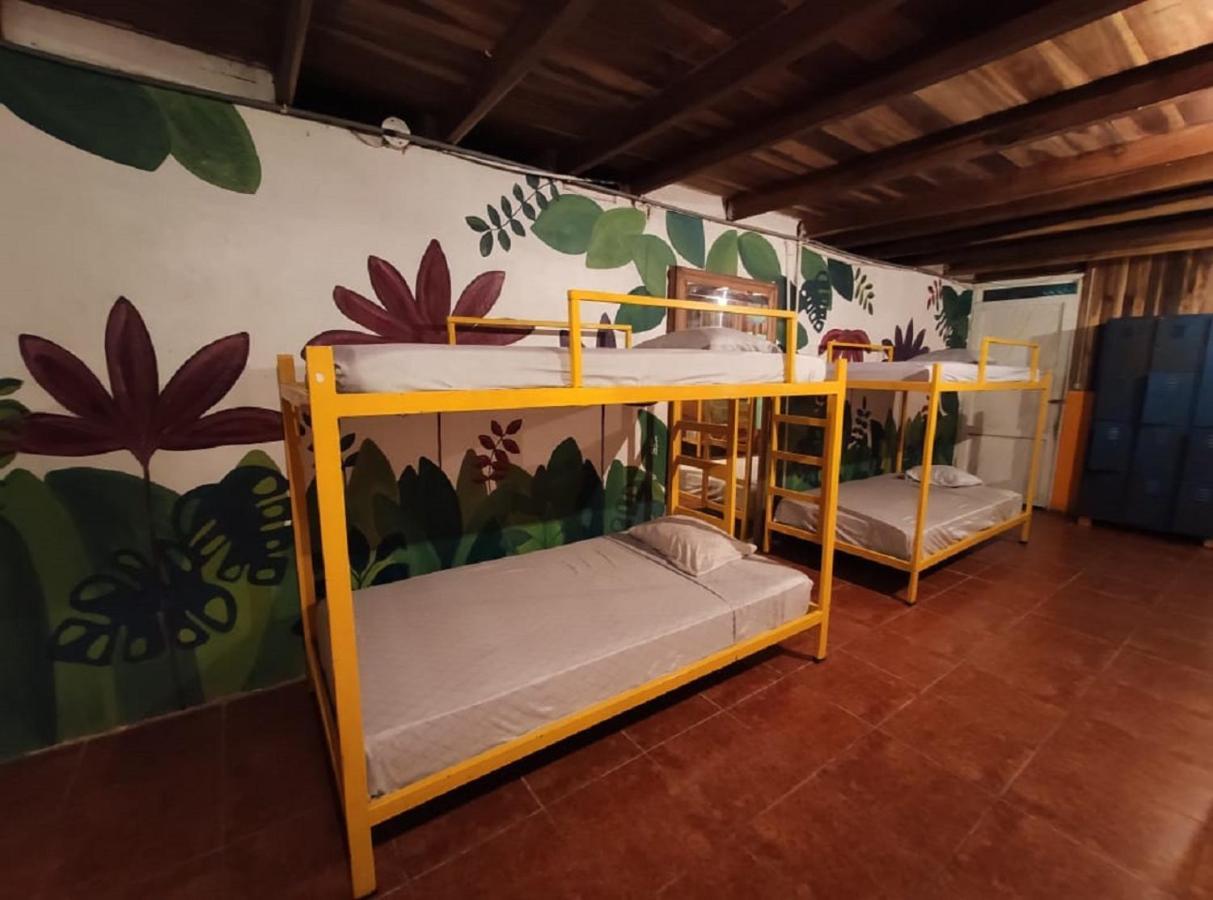 Madre Selva Hostel Puerto Viejo de Talamanca 외부 사진