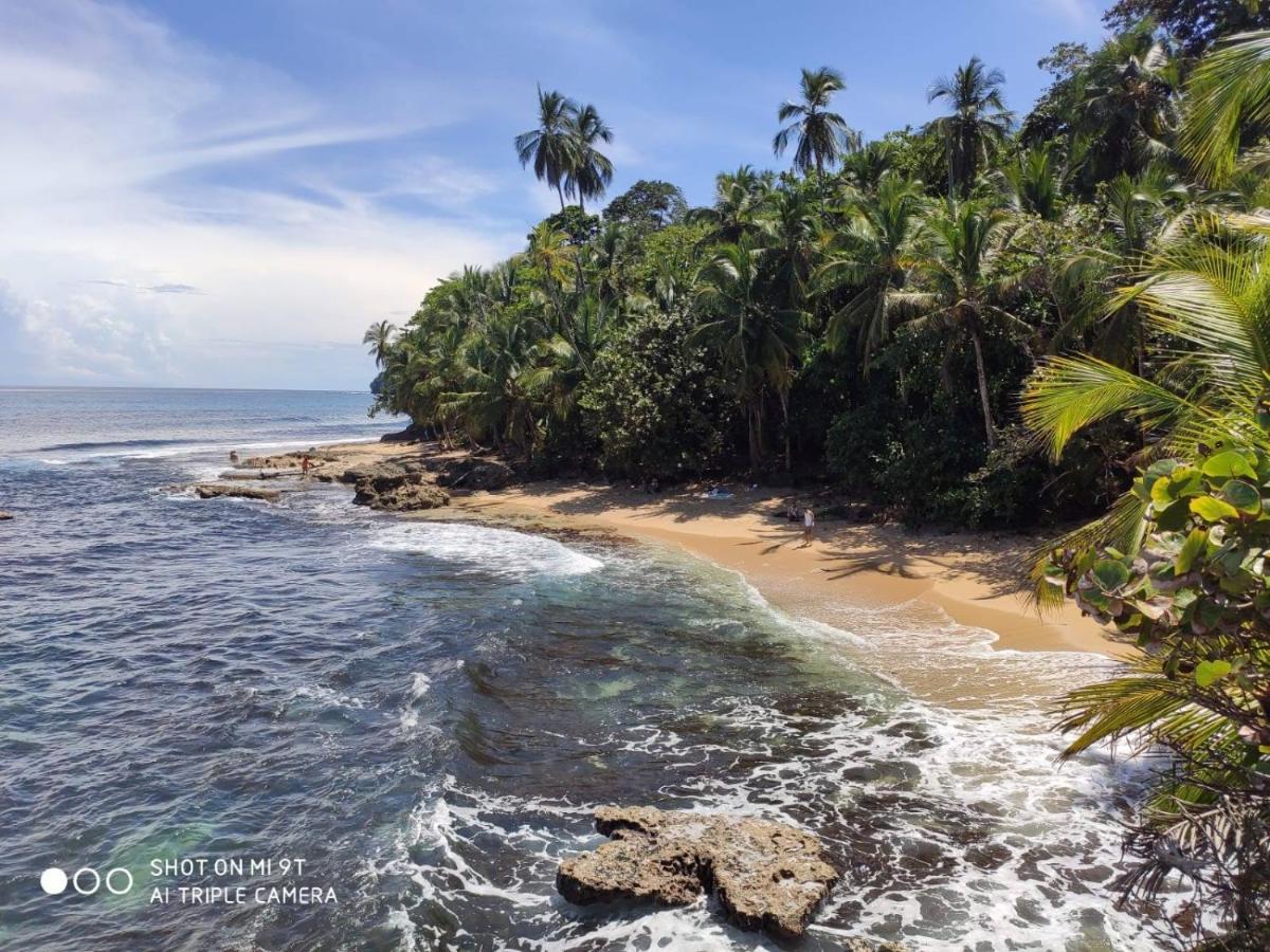 Madre Selva Hostel Puerto Viejo de Talamanca 외부 사진
