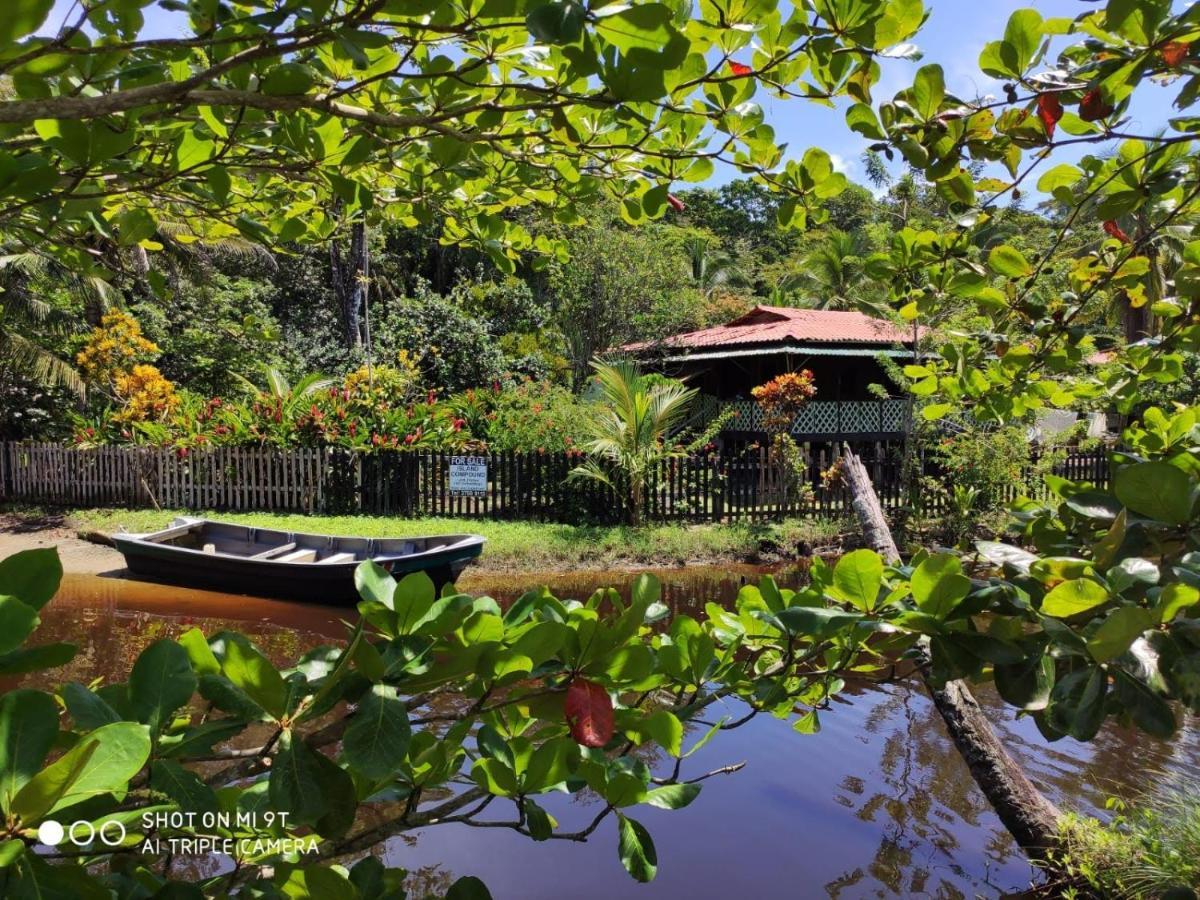 Madre Selva Hostel Puerto Viejo de Talamanca 외부 사진