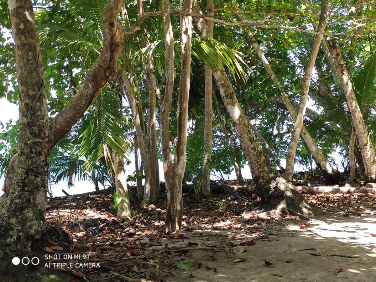 Madre Selva Hostel Puerto Viejo de Talamanca 외부 사진