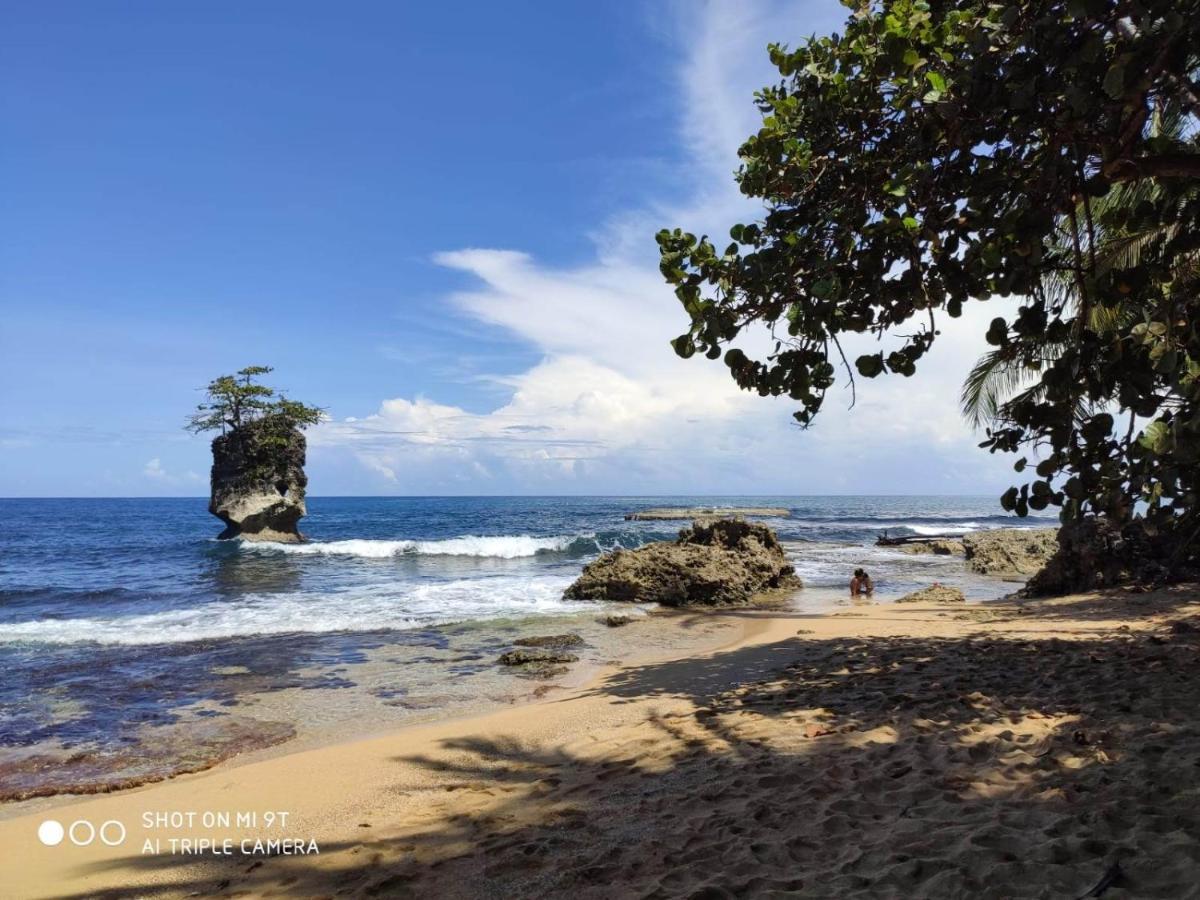 Madre Selva Hostel Puerto Viejo de Talamanca 외부 사진