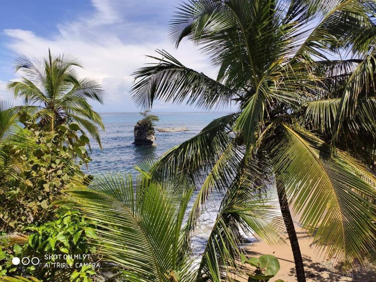Madre Selva Hostel Puerto Viejo de Talamanca 외부 사진