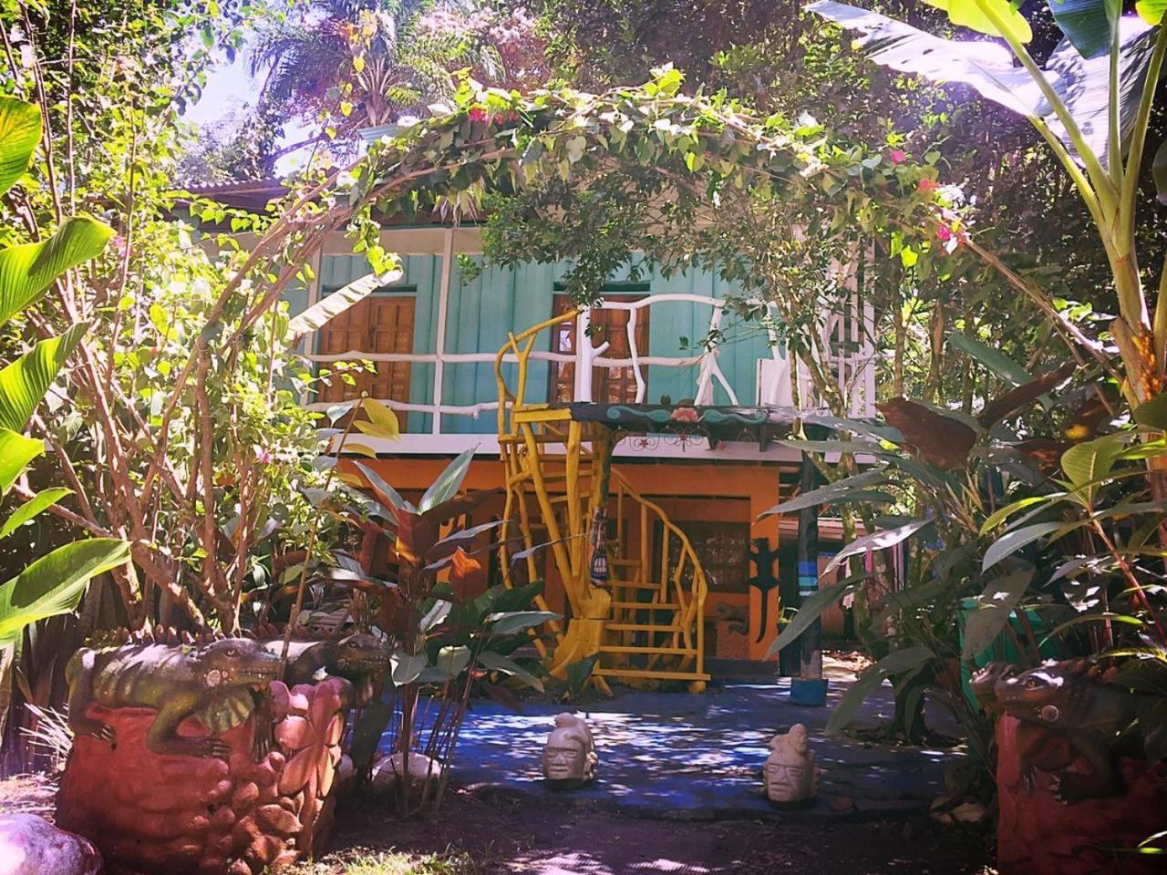 Madre Selva Hostel Puerto Viejo de Talamanca 외부 사진