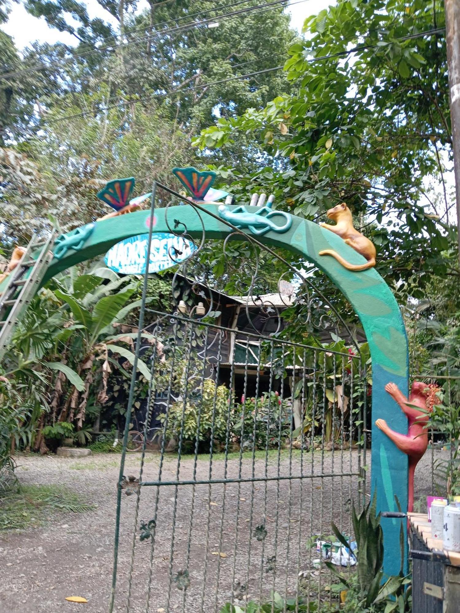 Madre Selva Hostel Puerto Viejo de Talamanca 외부 사진