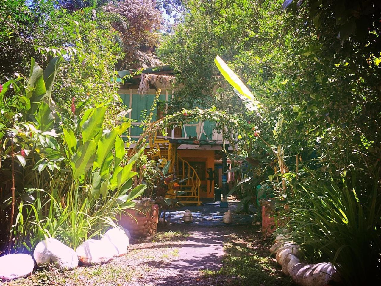 Madre Selva Hostel Puerto Viejo de Talamanca 외부 사진