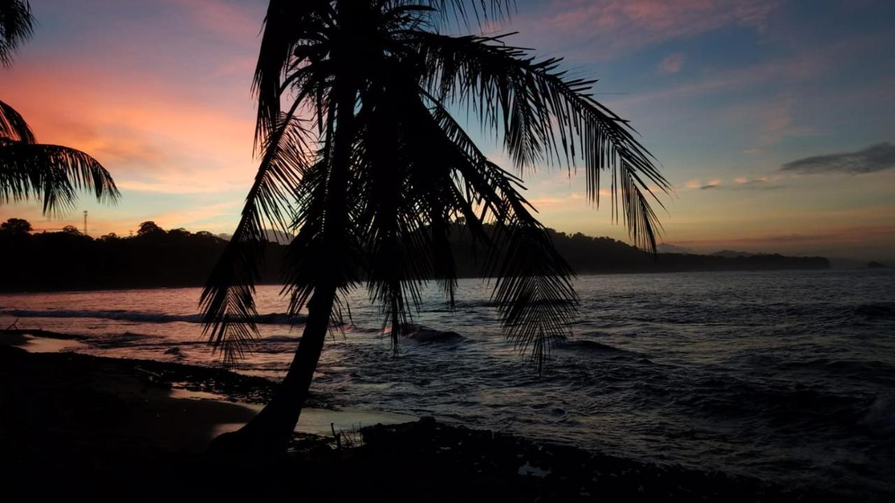 Madre Selva Hostel Puerto Viejo de Talamanca 외부 사진