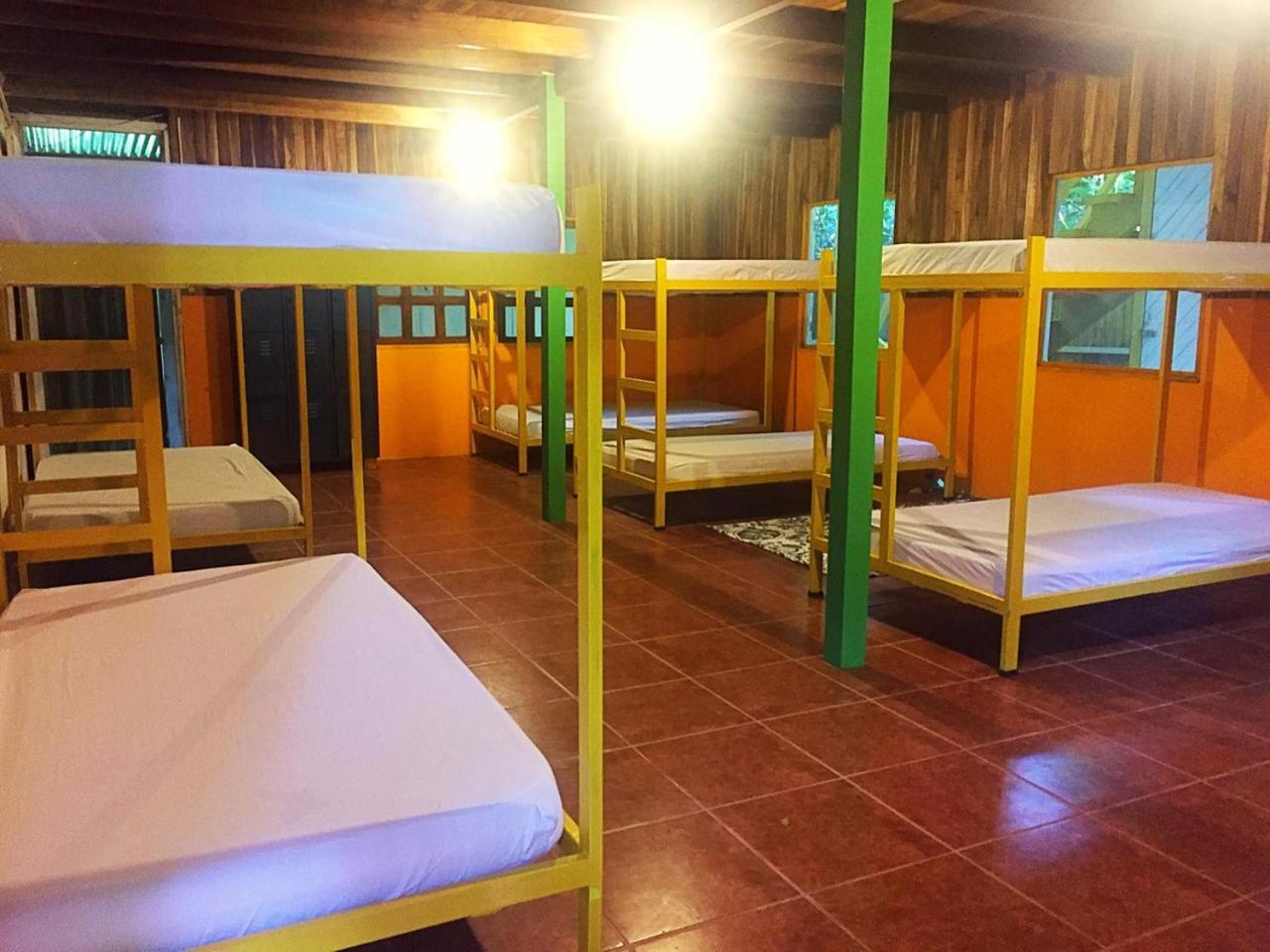 Madre Selva Hostel Puerto Viejo de Talamanca 외부 사진