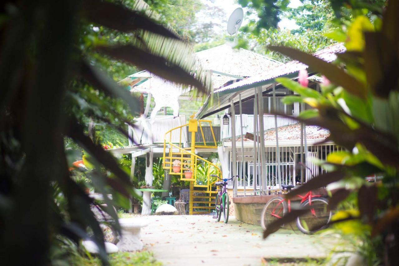 Madre Selva Hostel Puerto Viejo de Talamanca 외부 사진