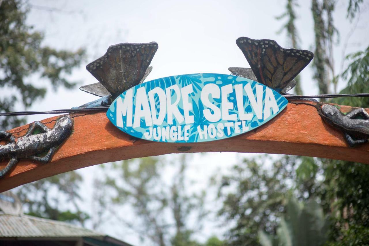 Madre Selva Hostel Puerto Viejo de Talamanca 외부 사진
