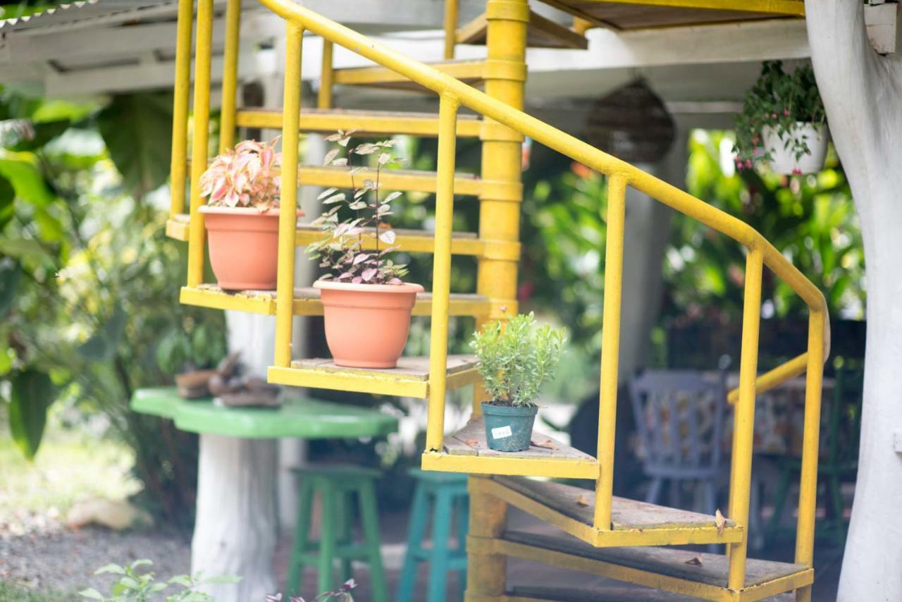 Madre Selva Hostel Puerto Viejo de Talamanca 외부 사진