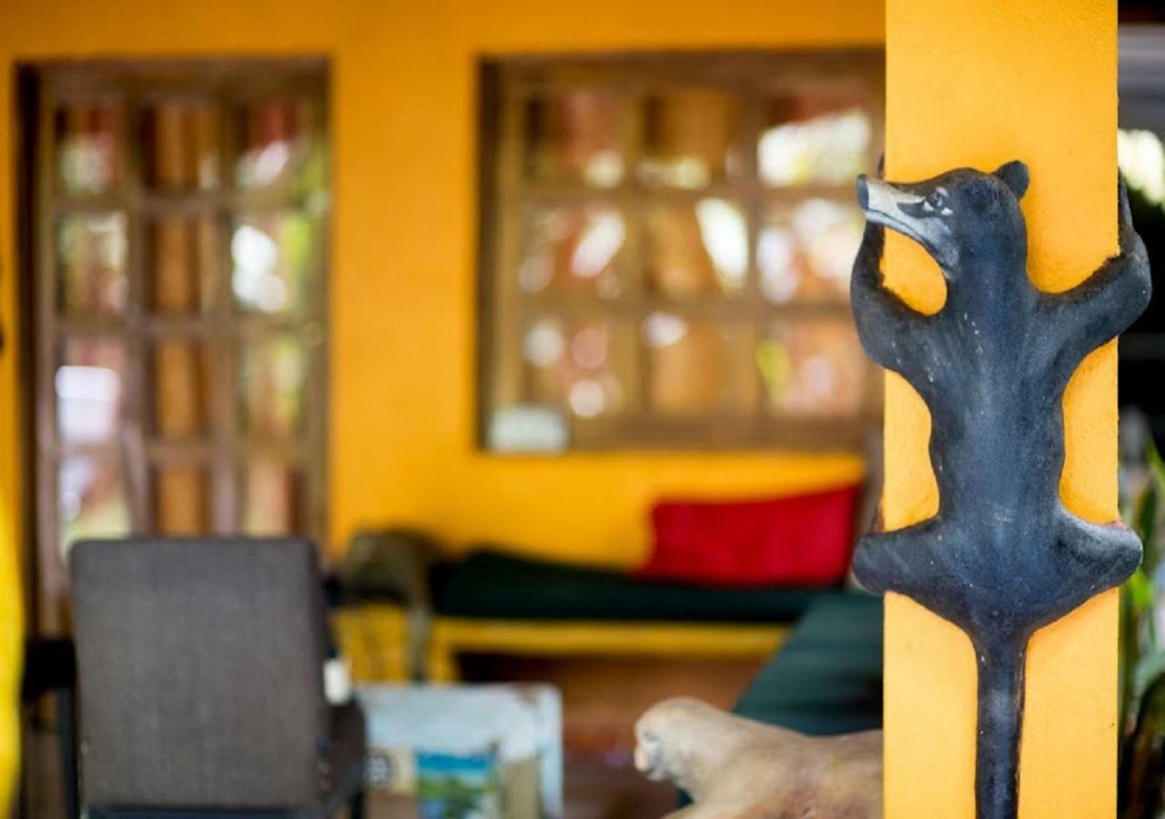 Madre Selva Hostel Puerto Viejo de Talamanca 외부 사진